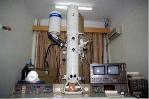 復(fù)旦大學(xué)物理系應(yīng)用表面物理國(guó)家重點(diǎn)實(shí)驗(yàn)室